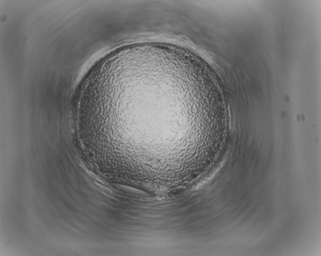X0000070851501200607071819