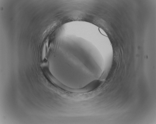 X0000070850023200607150042