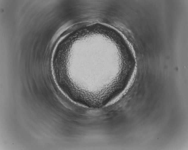 X0000070850051200607150041