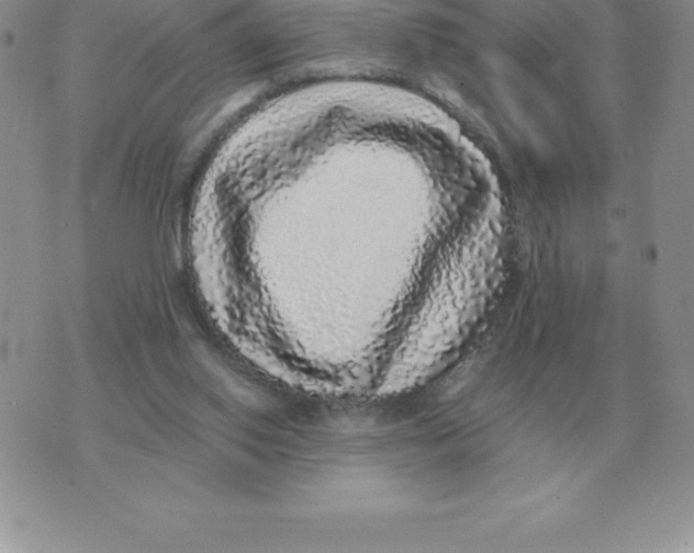 X0000070850062200607150041