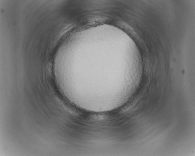 X0000070850071200607150041