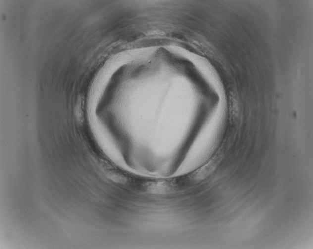 X0000070850074200607150041