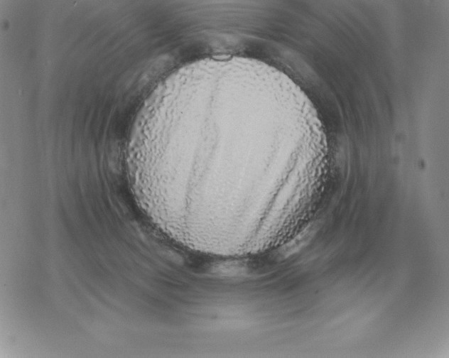 X0000070850078200607150041
