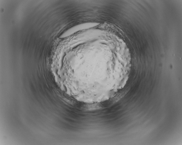 X0000070850093200607150042
