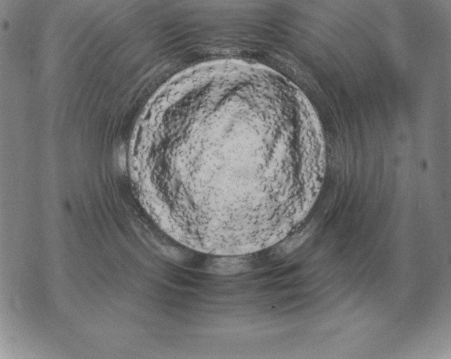 X0000070850095200607150042