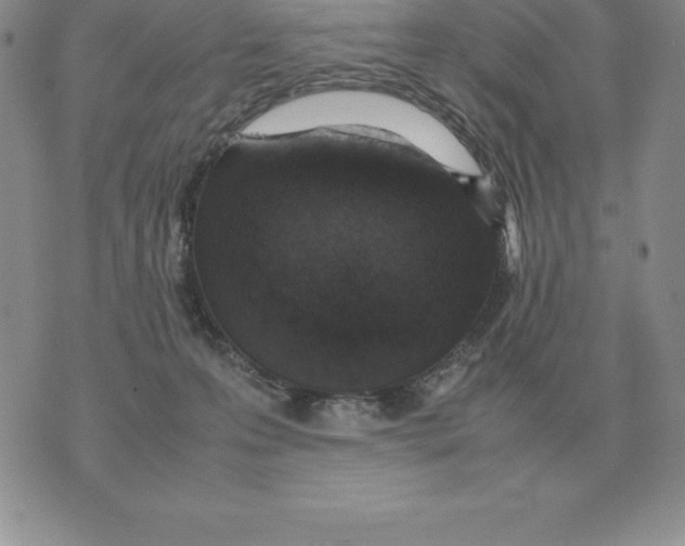 X0000070850223200607150039