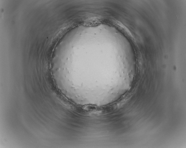 X0000070850257200607150038