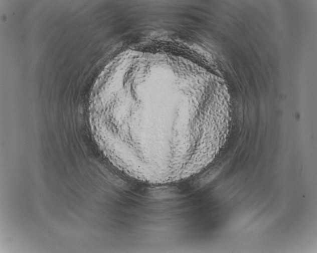 X0000070850269200607150038