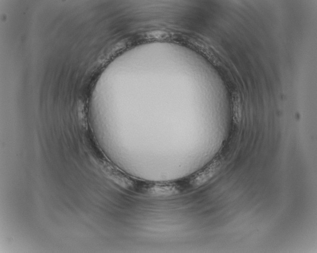 X0000070850270200607150038