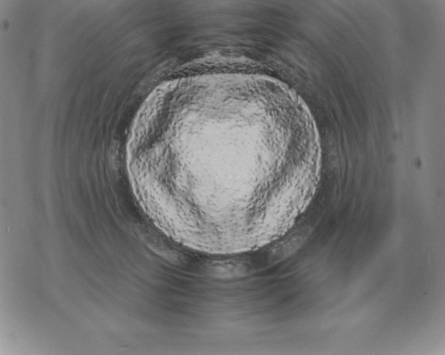 X0000070850275200607150038