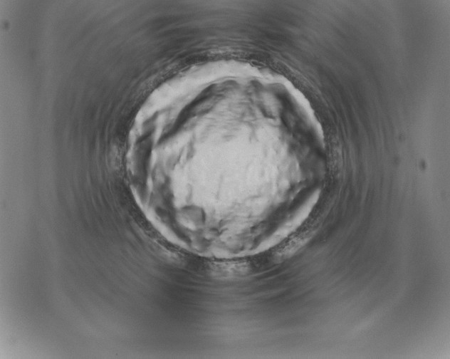 X0000070850281200607150038