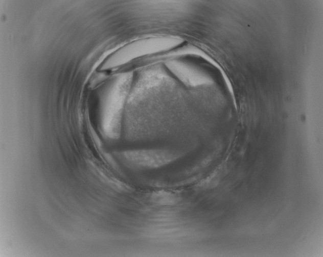 X0000070850290200607150038