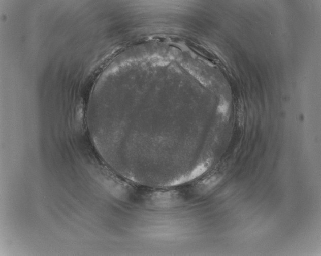 X0000070850314200607150037