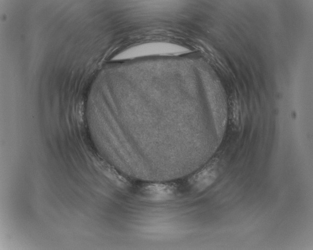 X0000070850326200607150037