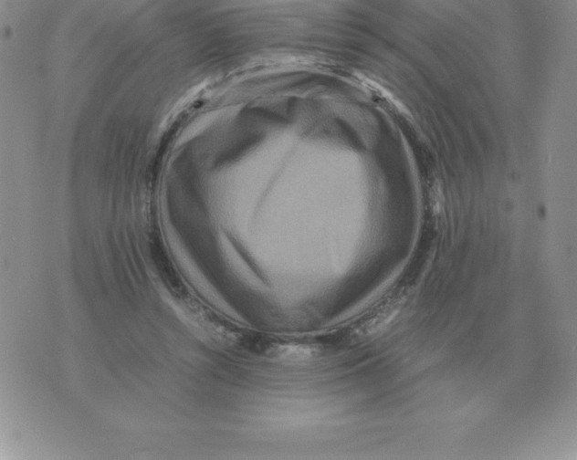 X0000070850352200607150036