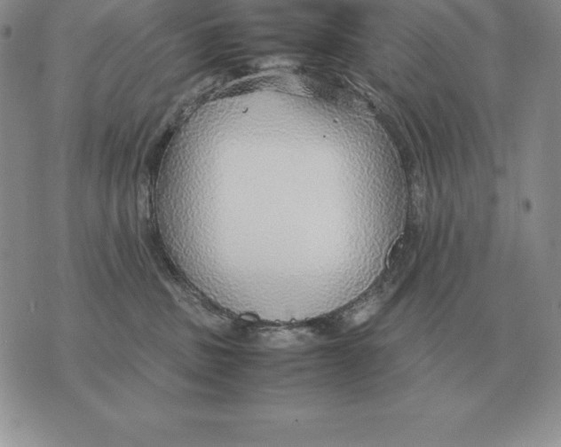 X0000070850379200607150037