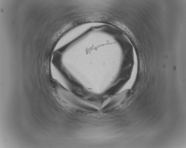 X0000070850393200607150036