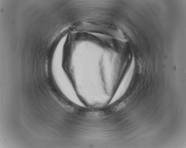 X0000070850404200607150036