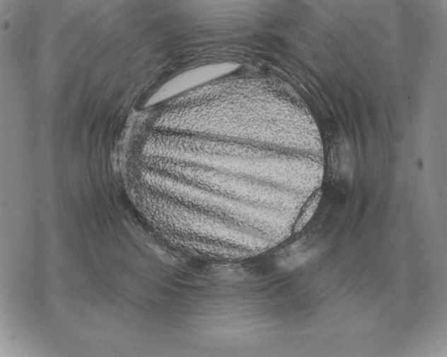 X0000070850424200607150036