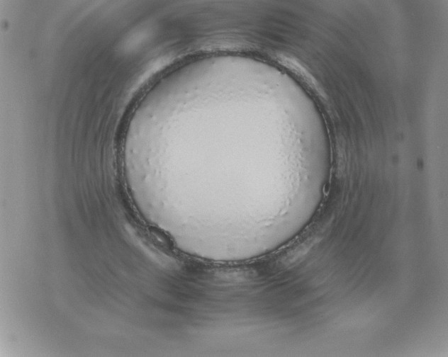X0000070850439200607150035