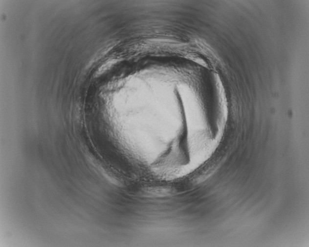 X0000070850449200607150035