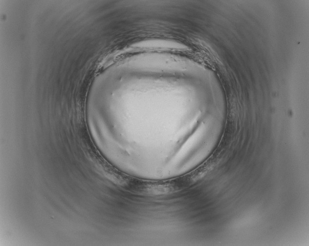 X0000070850457200607150035