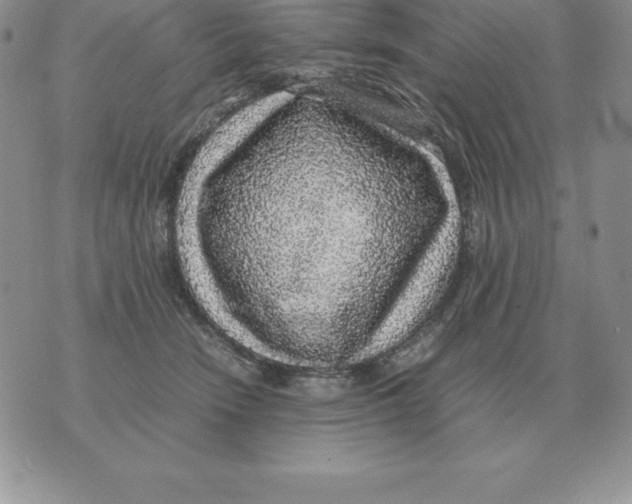 X0000070850466200607150035