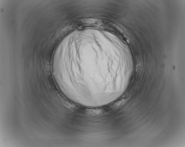X0000070850469200607150035