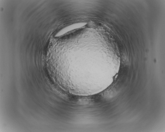 X0000070850470200607150035