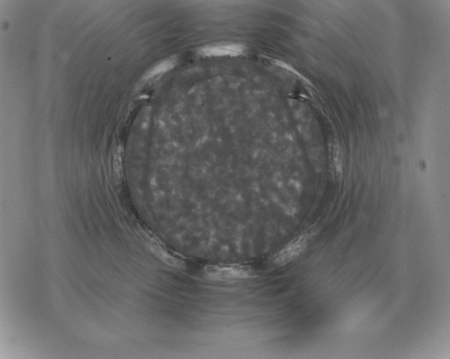 X0000070850475200607150035