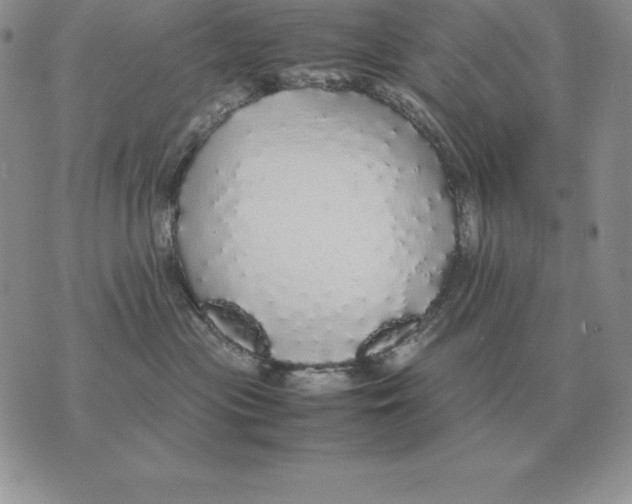 X0000070850477200607150035