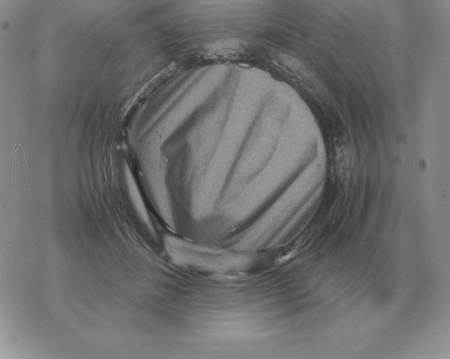X0000070850508200607150034