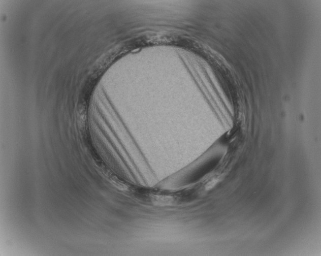 X0000070850513200607150034