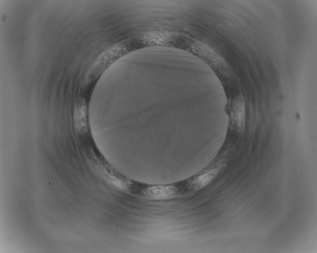 X0000070850526200607150034
