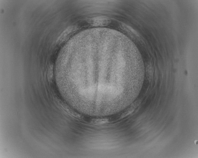 X0000070850554200607150033