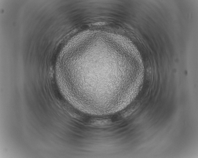X0000070850555200607150033