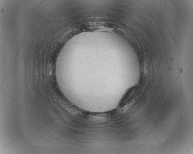 X0000070850567200607150034