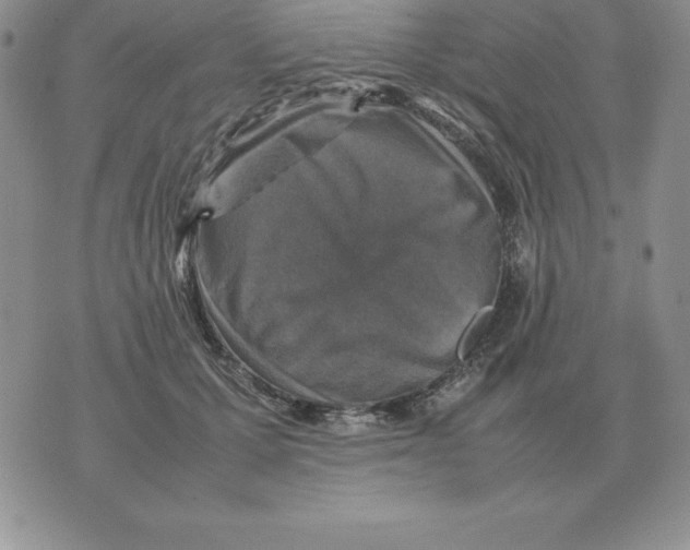 X0000070850607200607150032