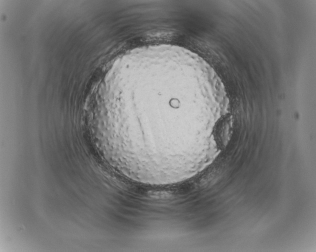 X0000070850649200607150032