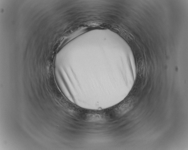 X0000070850655200607150032