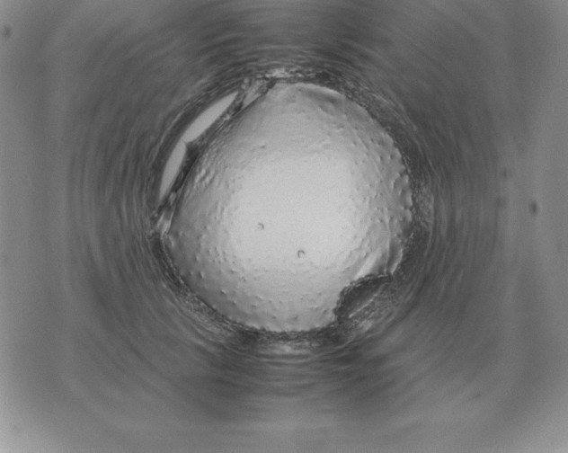 X0000070850657200607150032