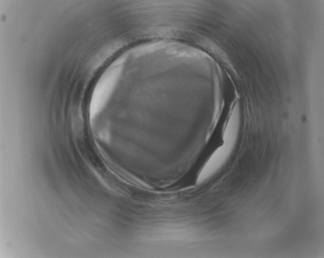 X0000070850674200607150031