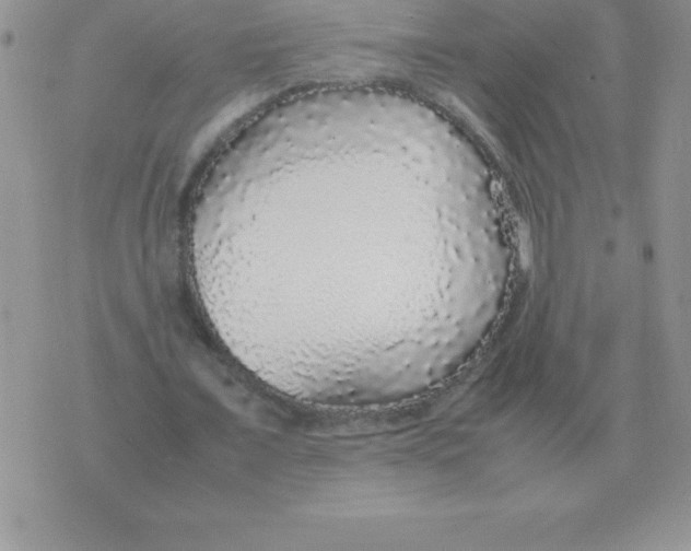 X0000070850675200607150031