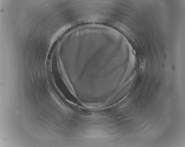 X0000070850678200607150031
