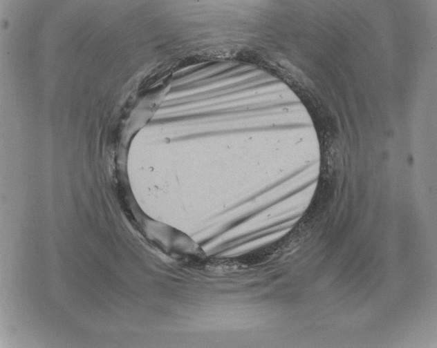 X0000070850693200607150031