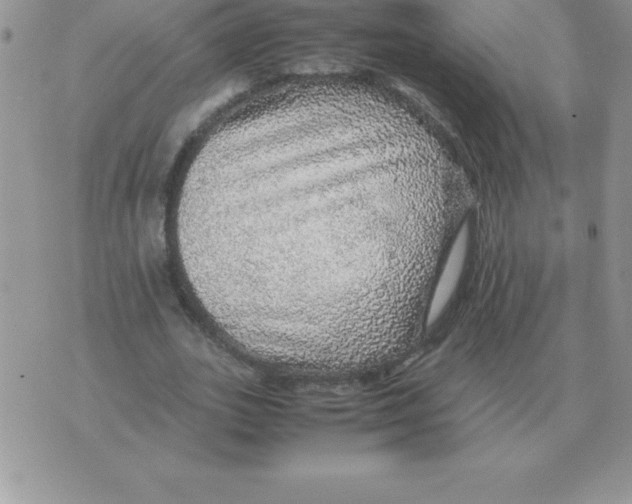 X0000070850727200607150030