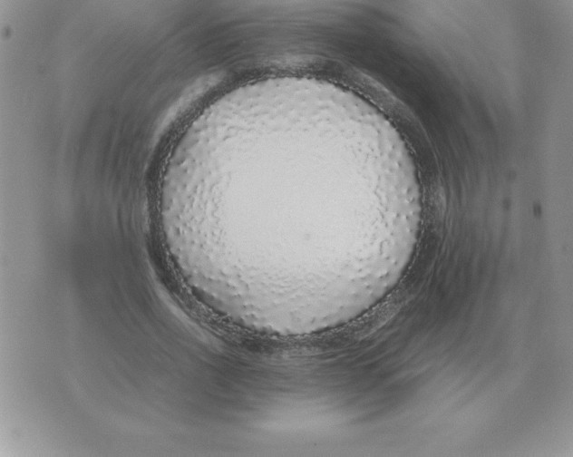X0000070850734200607150030