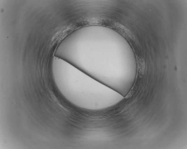 X0000070850740200607150030