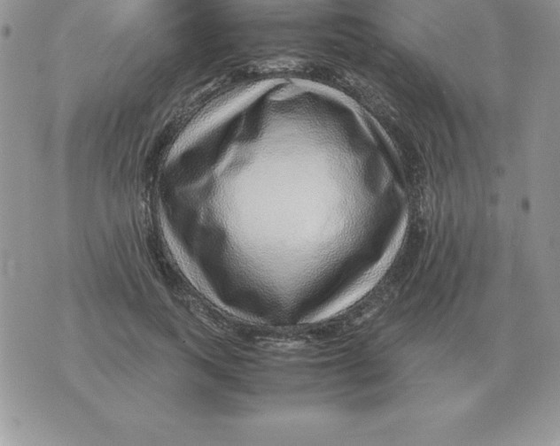 X0000070850743200607150030