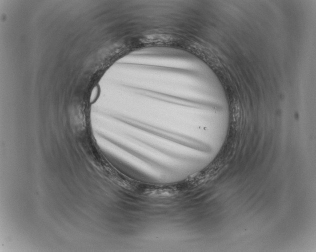 X0000070850751200607150030